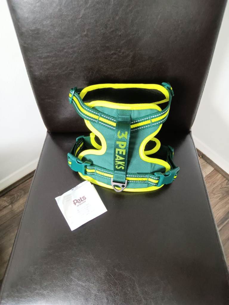 Dog harness 