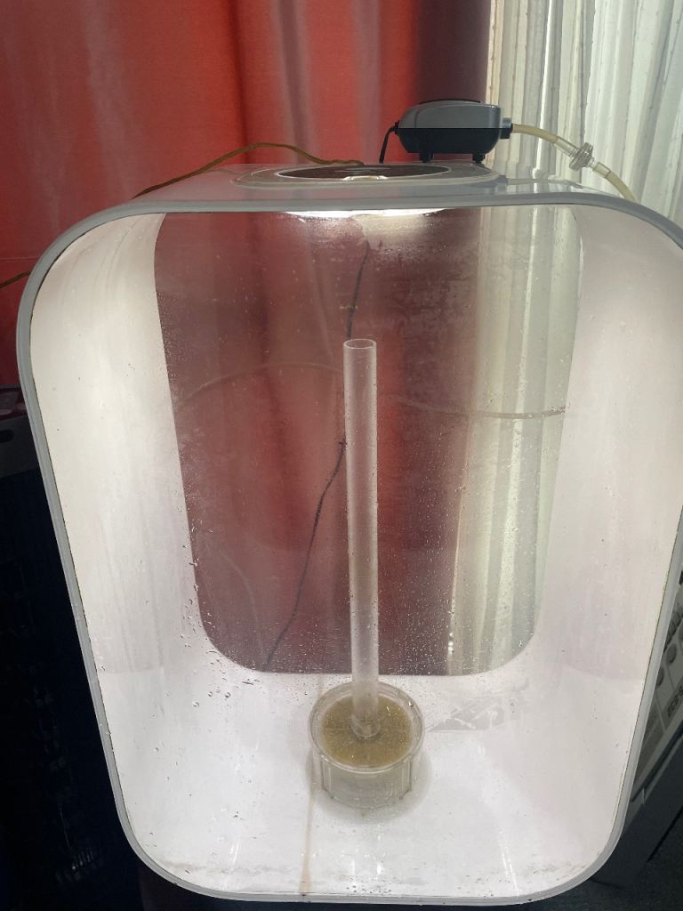 BIorb life 45 Aquarium fish tank