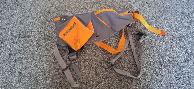 Canicross running belt