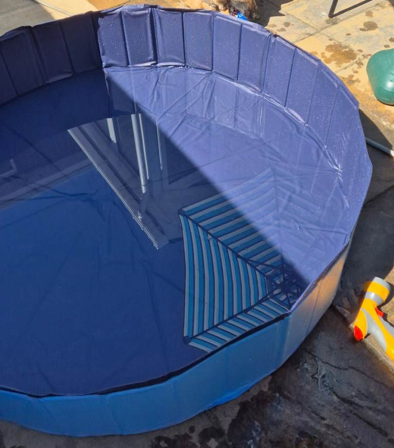 Large Dog Paddling Pool 