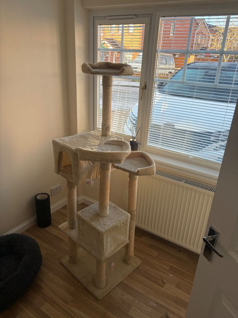 Cat tree 