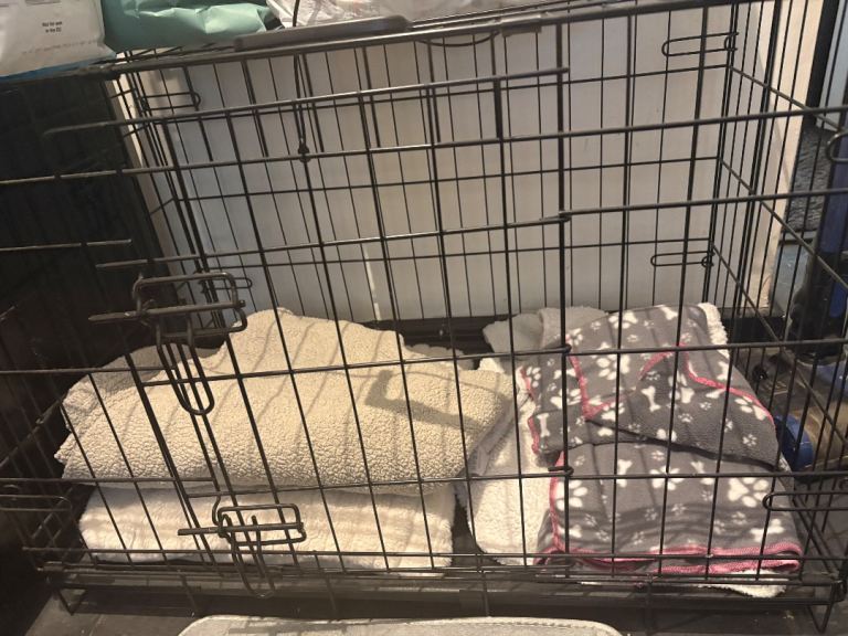 Small dog crate