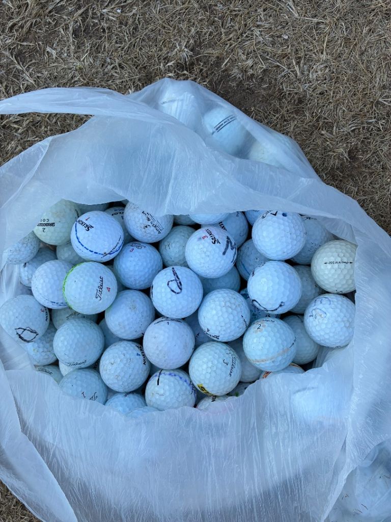 Bag of Used Golf Balls - Mixed Brands, Good for Practice