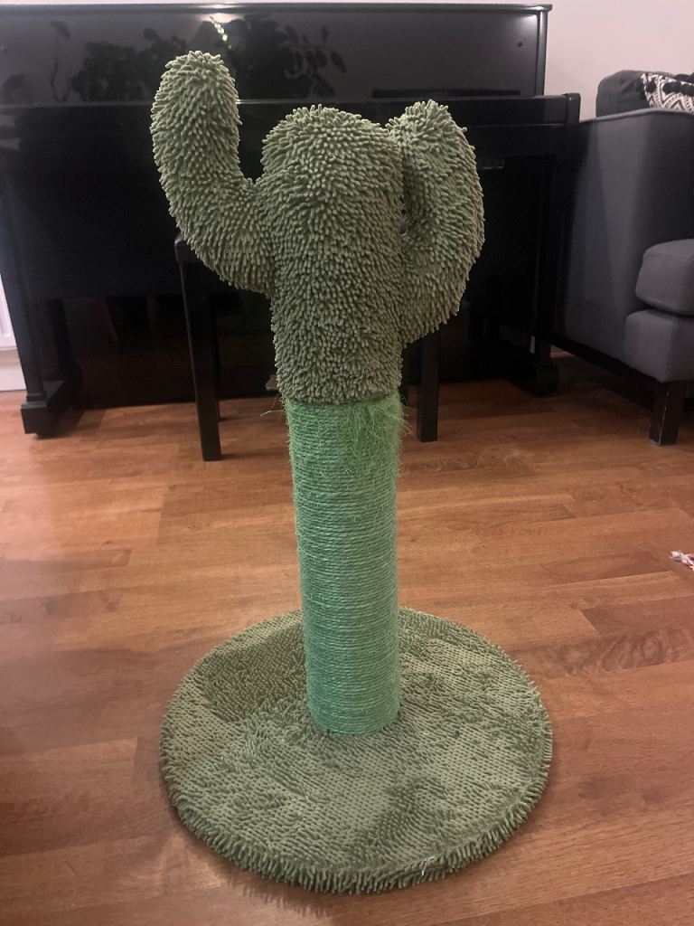 Free cat scratching post 