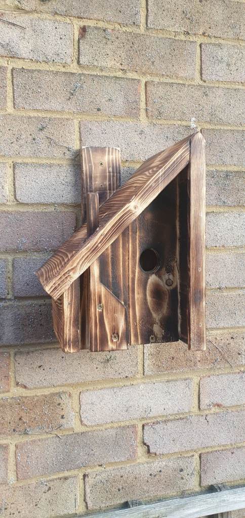 Wild bird nesting box. Cabin style