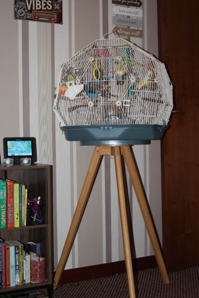 Omlet Geo Bird Cage Budgie, Canary etc with stand and cover