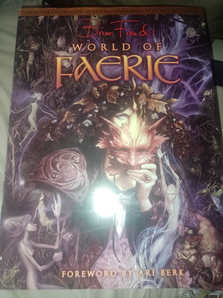 Brian frouds faerie books prices in description 