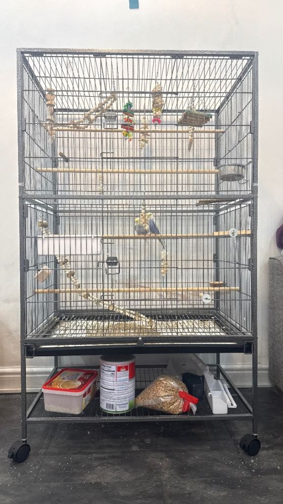 Budgie/bird cage 