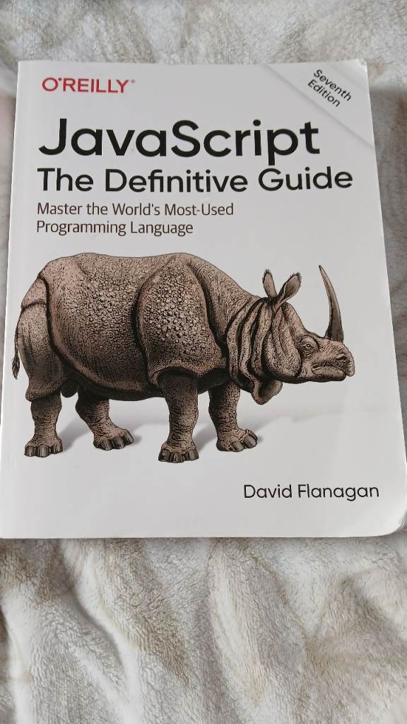 Javascript - the definitive guide