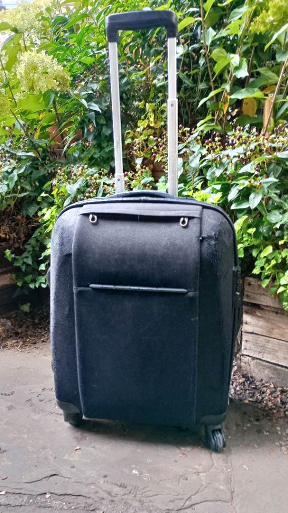 Small clean suitcase 