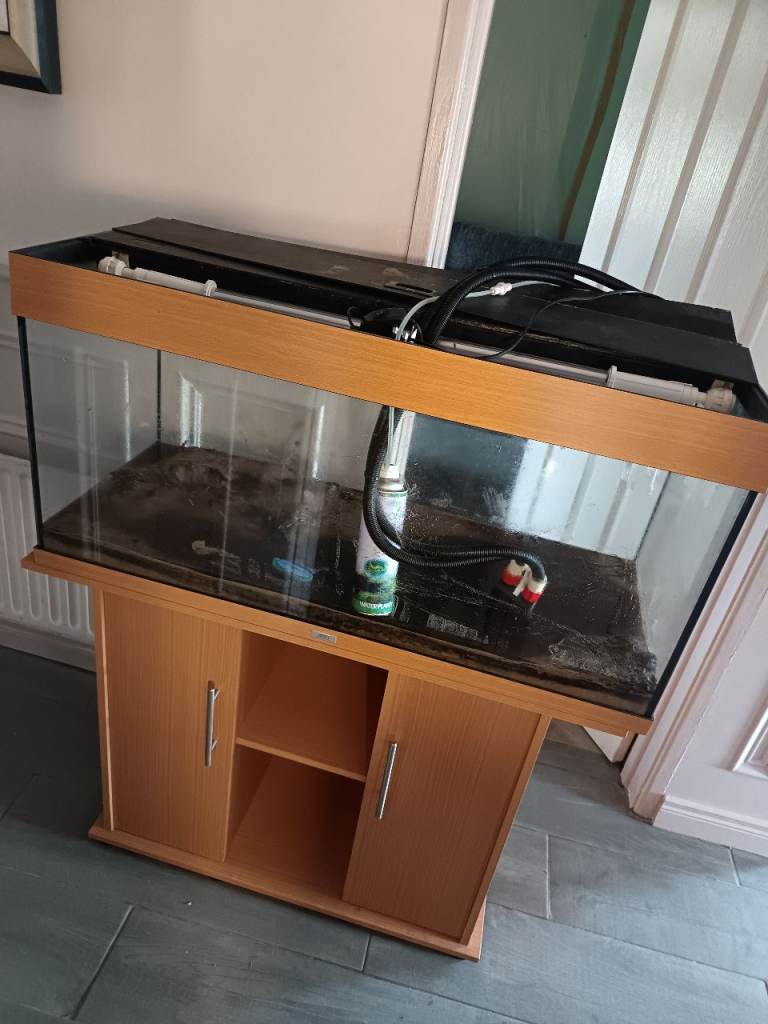 juwel rio fish tank 180