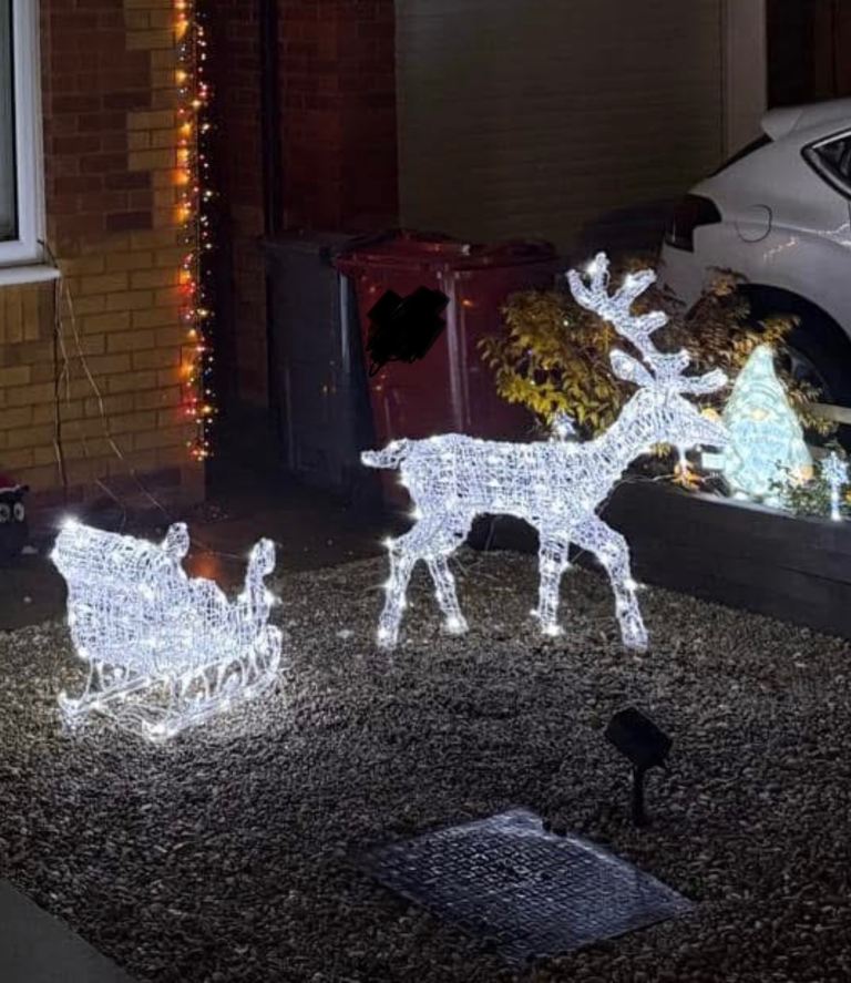 Deer and Sleigh Christmas lights 