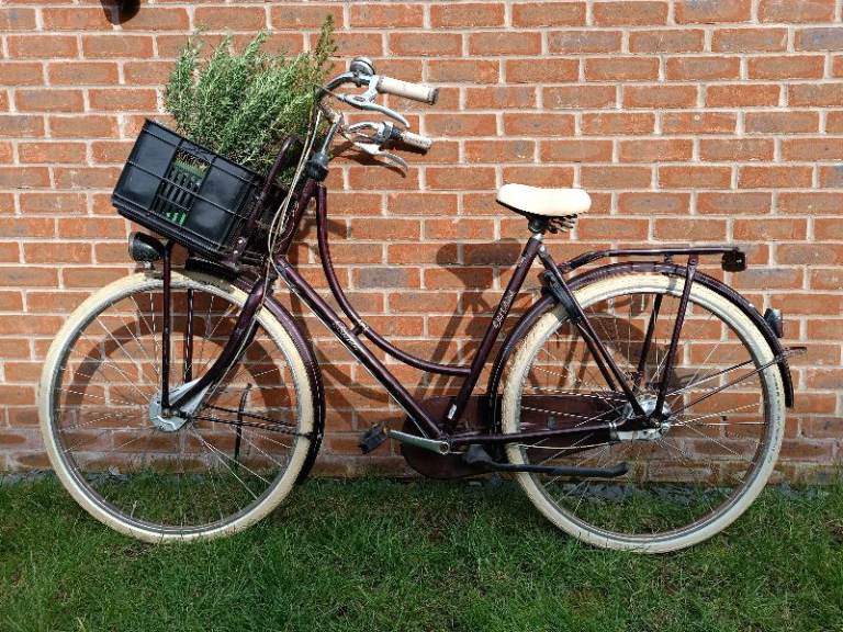 Batavus old dutch