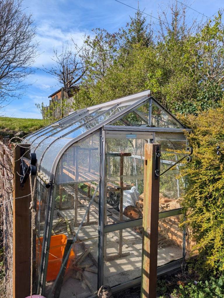 Large greenhouse