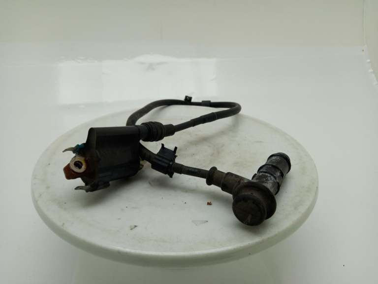 2021 Honda Nc 750 Coil/Coil Pack