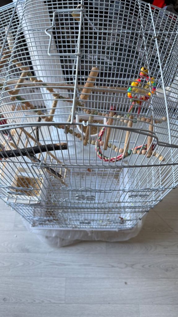 Budgie cage for sale 