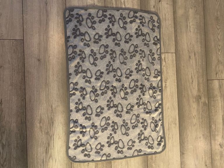 New Puppy Travel Pack