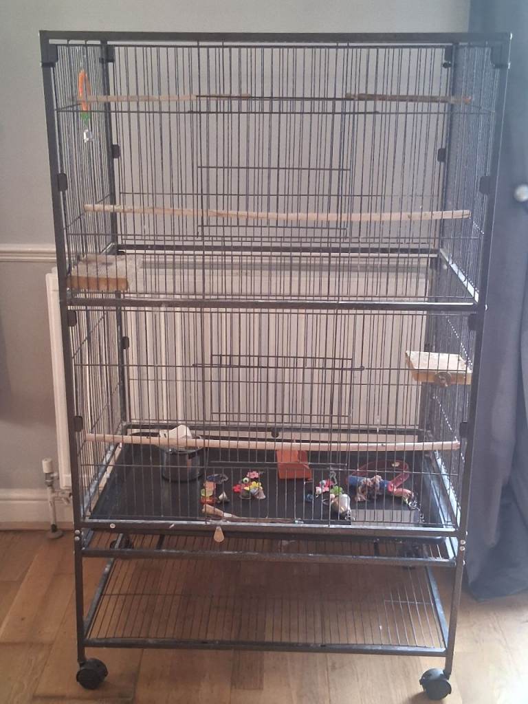 Bird Cage