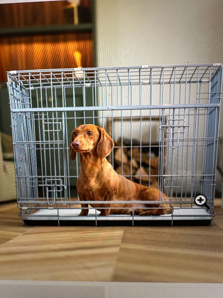 Sliding door Large dog crate 