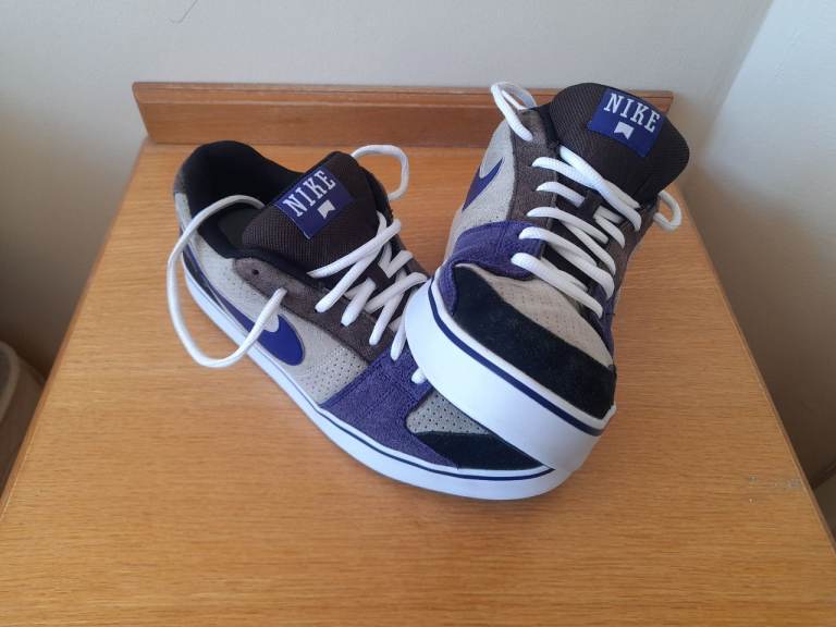 Nike dunk low ruckus low