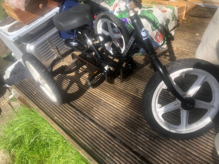 Terrier bike