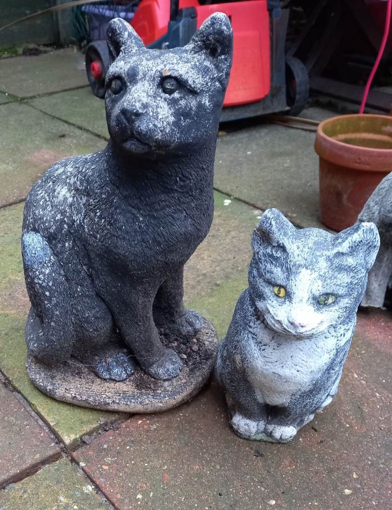 Concrete cats 