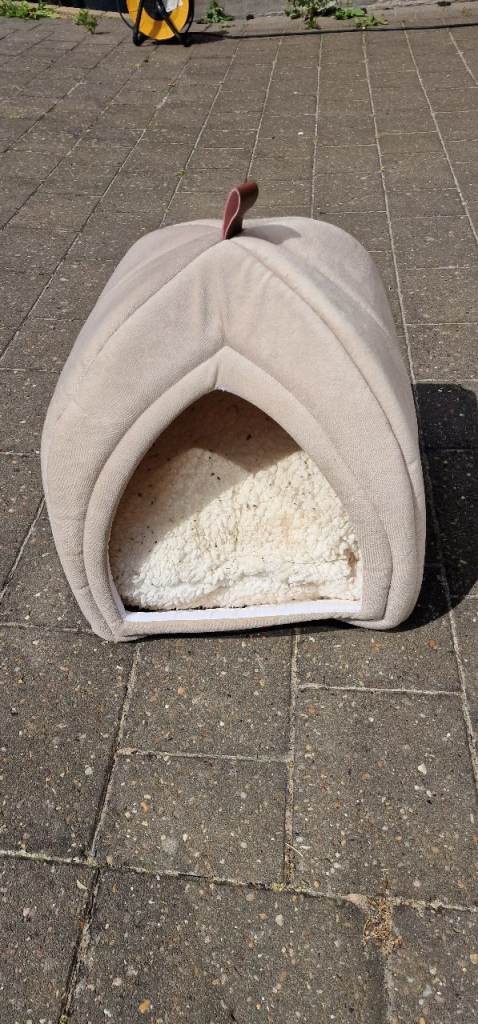 Cat bed