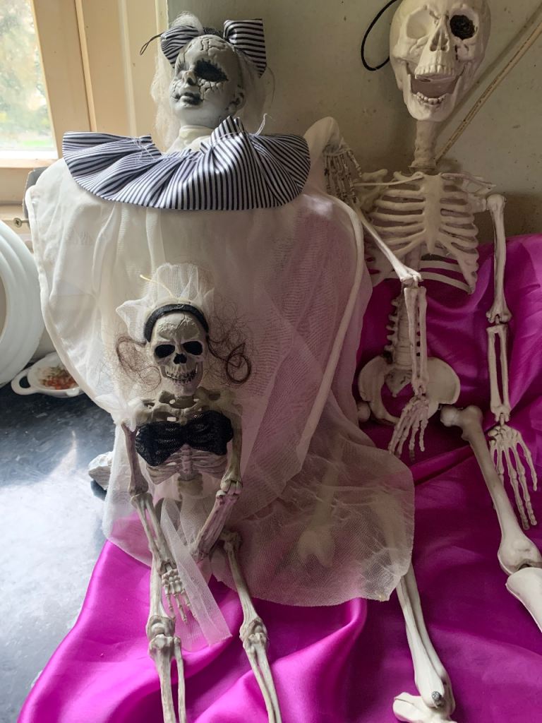 Halloween Skeleton Decorations - Good Condition