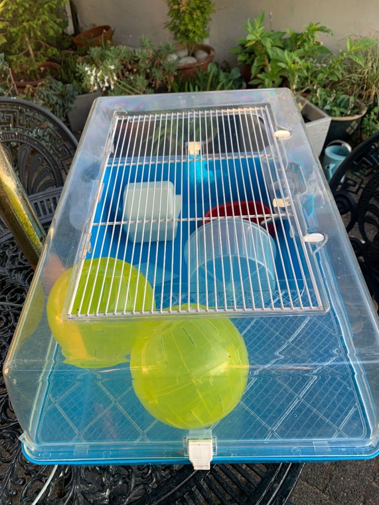 Ferplast hamster cage from pets at home, includes drink bottle, and other extras 