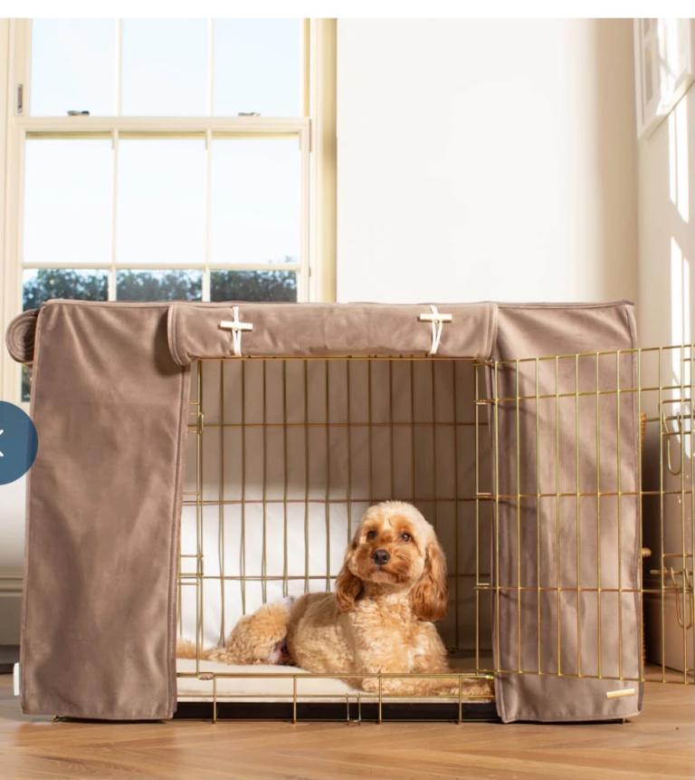 Lords & Labradors XXL Gold Dog crate with crate cover in clay velvet