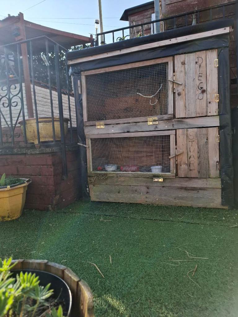 Rabbit/guineapig hutch