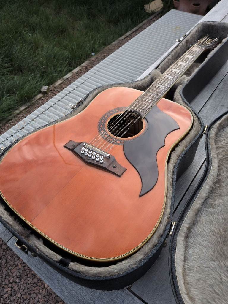 Eco Ranger 12-String Acoustic Guitar in Good Condition