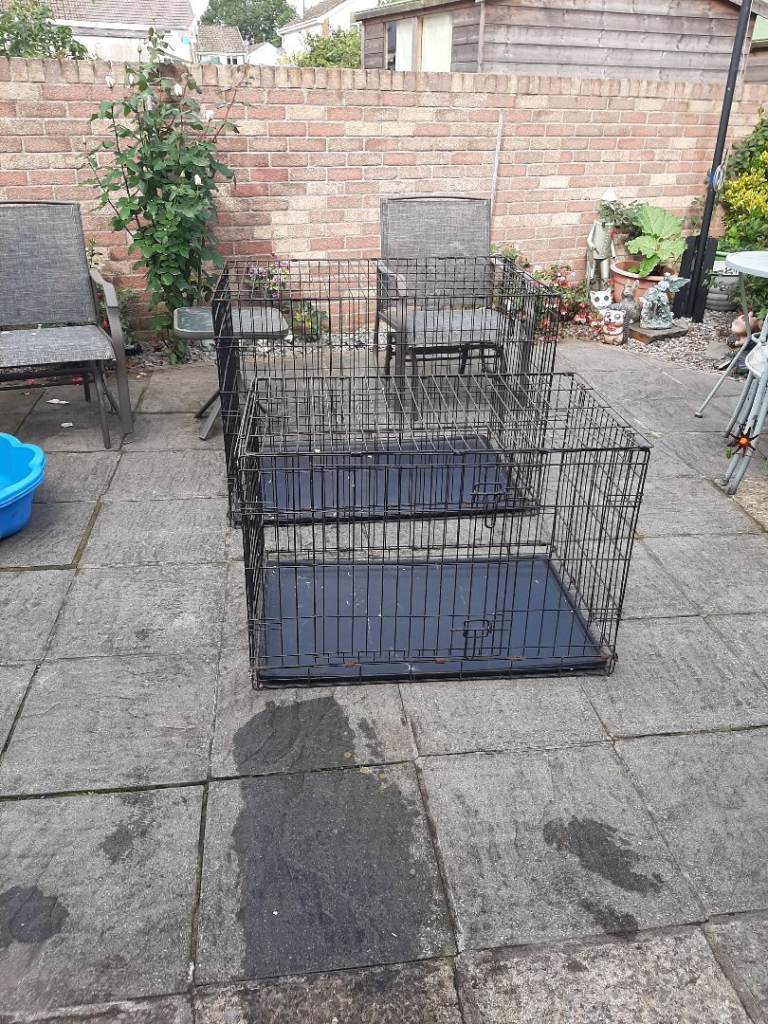 Dog crate 