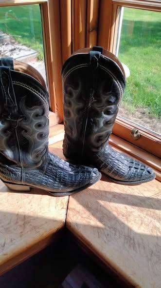 Alligator Cowboy Boots size 7   or 41