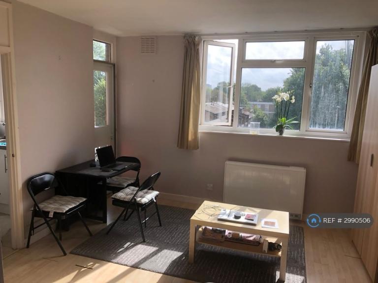 Studio flat in Avon Court, London, SW15 (#2990506)