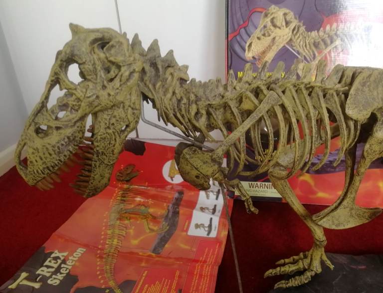 T-REX SKELETON 45"long Dinosaur Model kit 1/10 Scale Building STEM by B.C. Bones