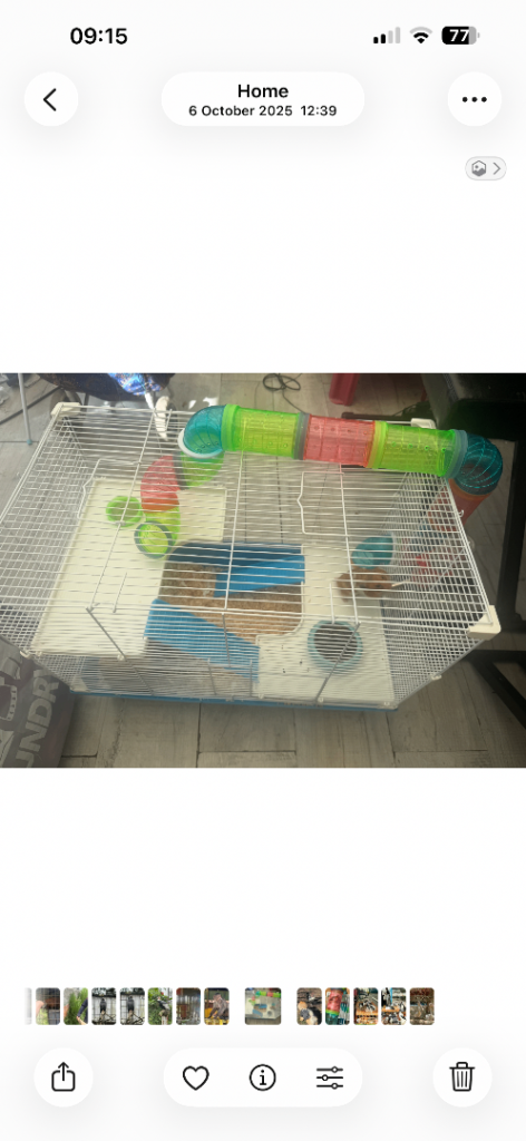 Double floor hamster cage 
