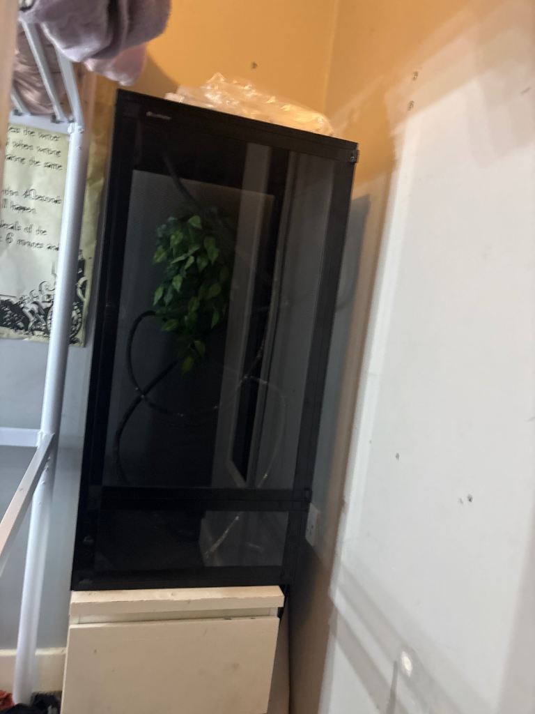 2 x 2 x 4 vivarium