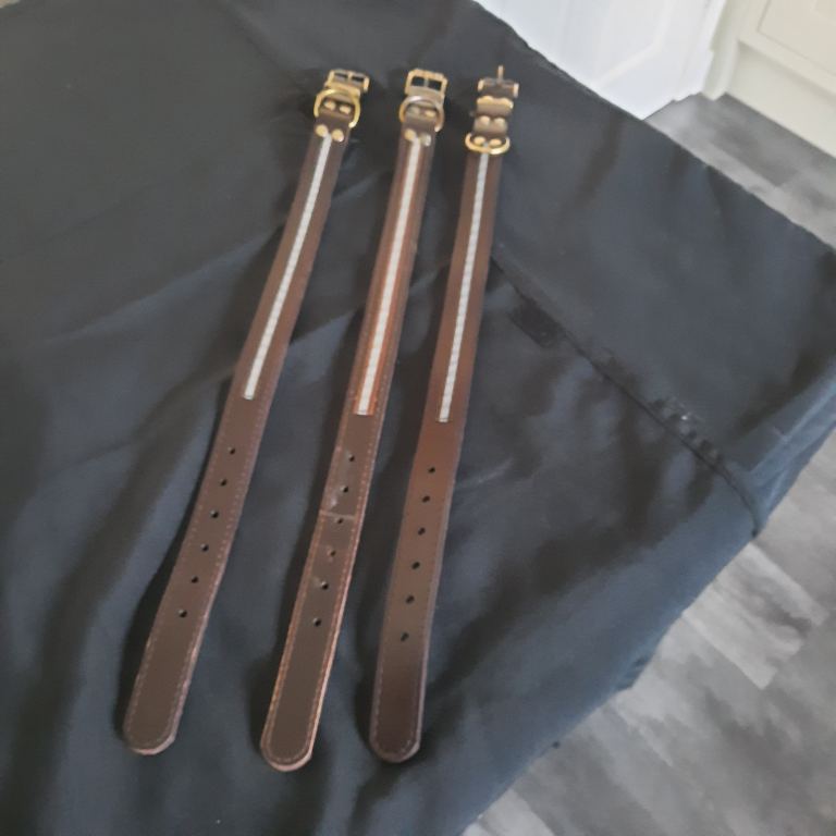 Leather dog collars 