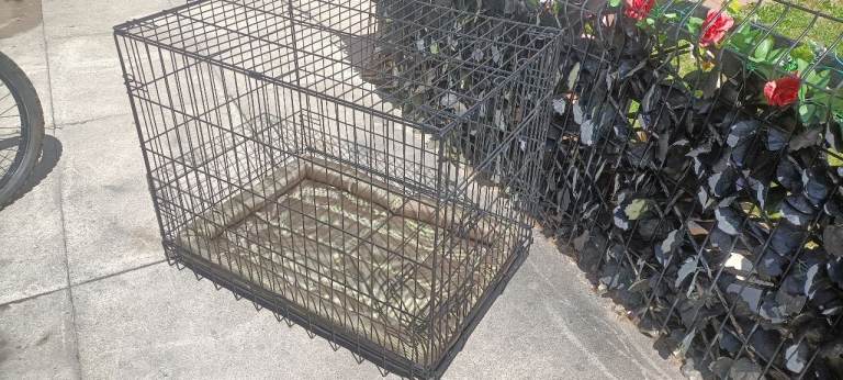 Pet crate