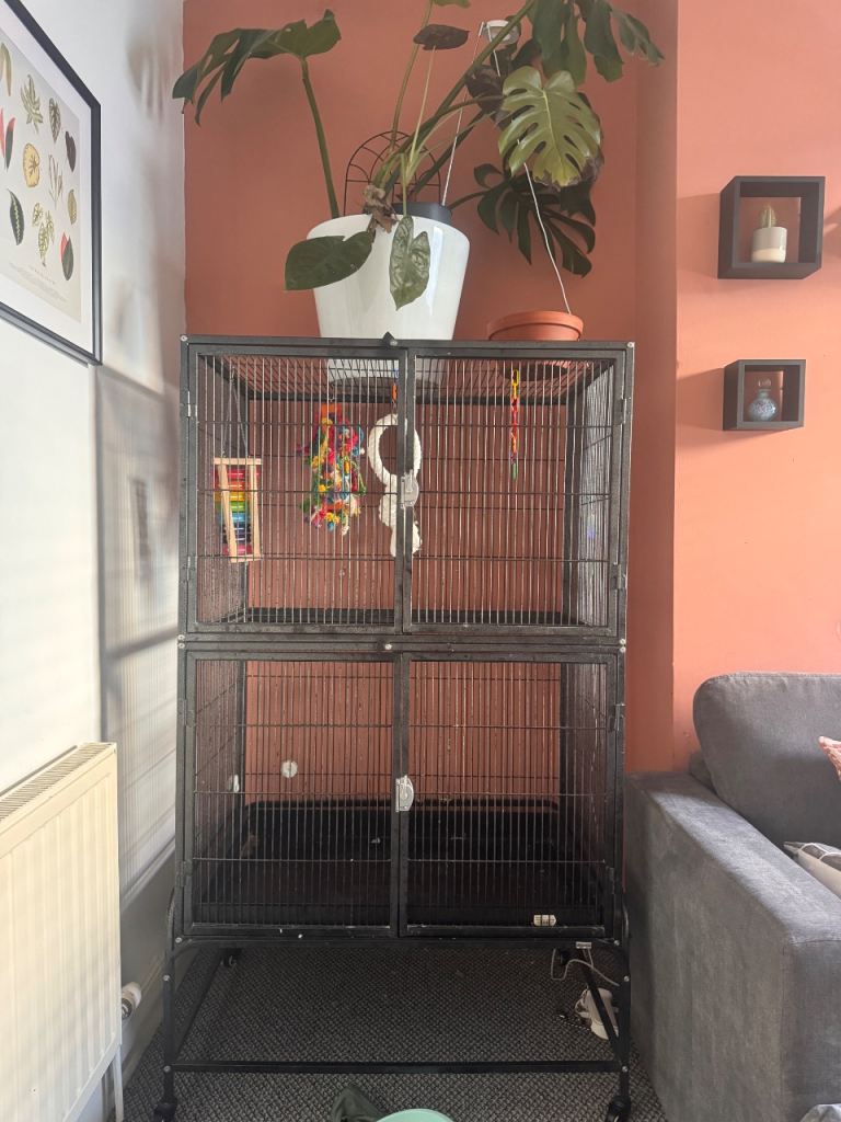 XL bird/rat cage & accessories - FULL SET UP 