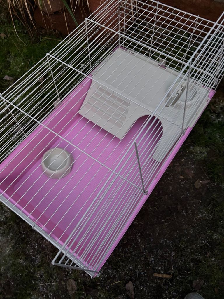 New Pink cage 