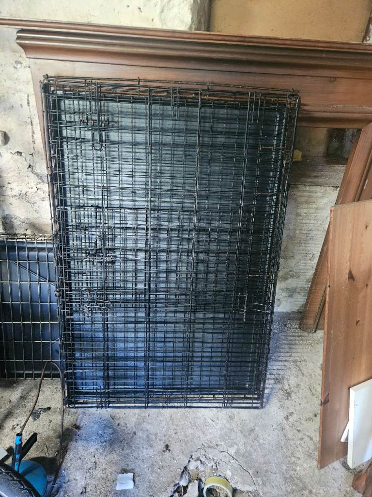 large dog  crate