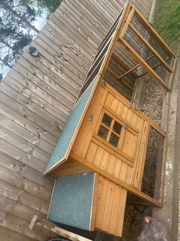 Chicken coop and 9 chicken