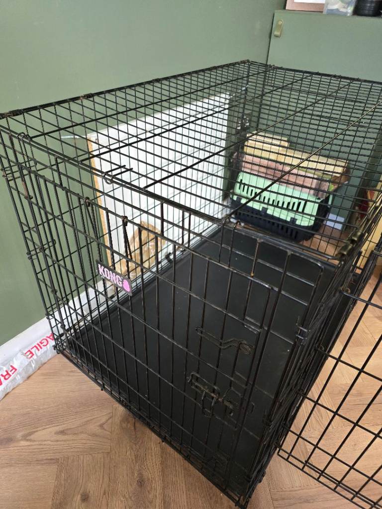 Kong Dog Crate 
