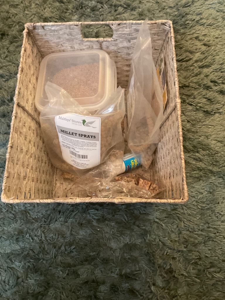 BIRD CAGE WITH 3 GORGEOUS BUDGIES WELL LOOKED AFTER ALWAYS SINGING 