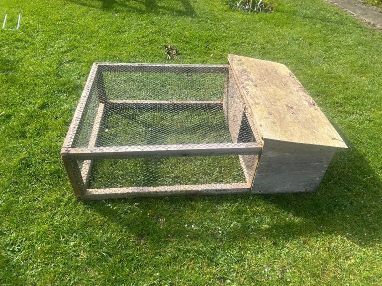 Guinea pig hunch and cage