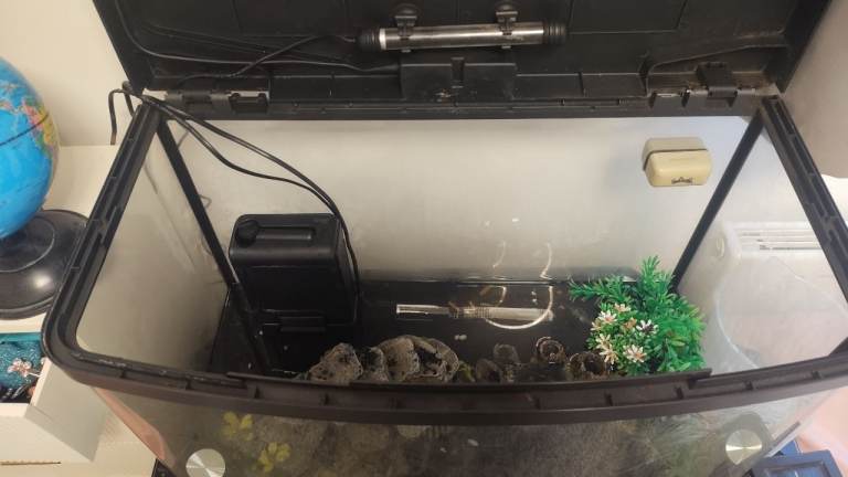 L aquarium with accessories 