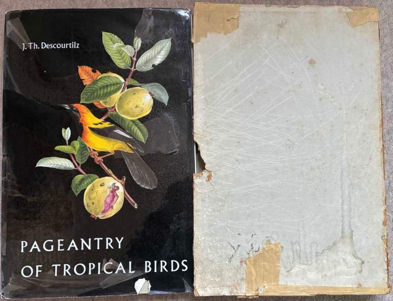 Pageantry of Tropical Birds - Descourtilz