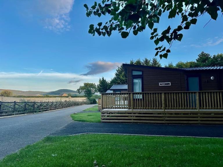 WILLERBY VOGUE CLASSIQUE in Northallerton  - Lodge / Caravan 